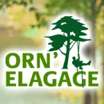 Orn'Élagage est le spécialiste réputé de l'élagage, de l'abattage et de l'entretien pour vos arbres et arbustes sur Flers, Condé en Normandie et Briouze Messei