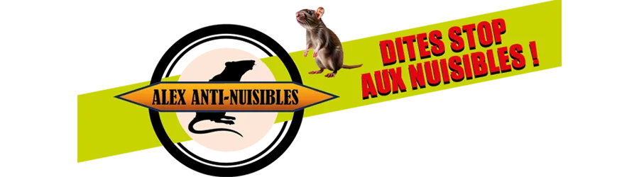 Désinsectisation frelon asiatique Alex Anti Nuisibles à Athis Val de Rouvre